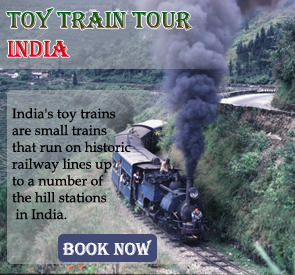 Toy Train India Tour