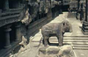 Ajanta