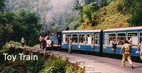 Toy Train Photo Gallery